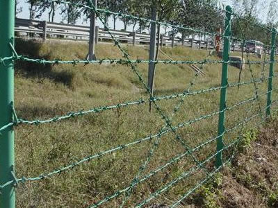 Barbed Wire