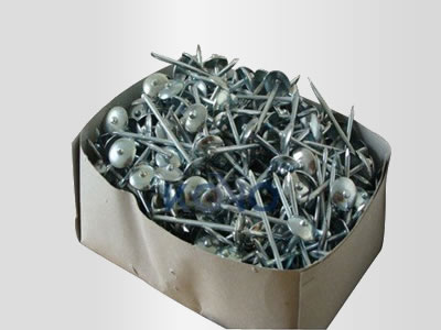 Roofing Nail