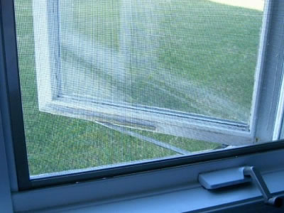 Window Screen